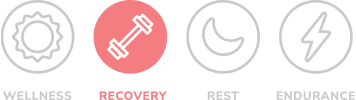 benefit-recovery-icon